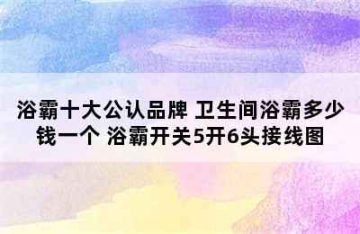 浴霸十大公认品牌 卫生间浴霸多少钱一个 浴霸开关5开6头接线图